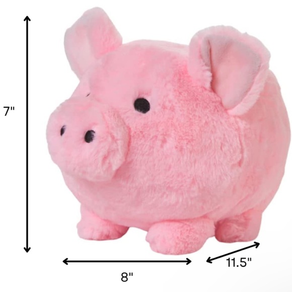 Other - 🫶🏼Piggy bank